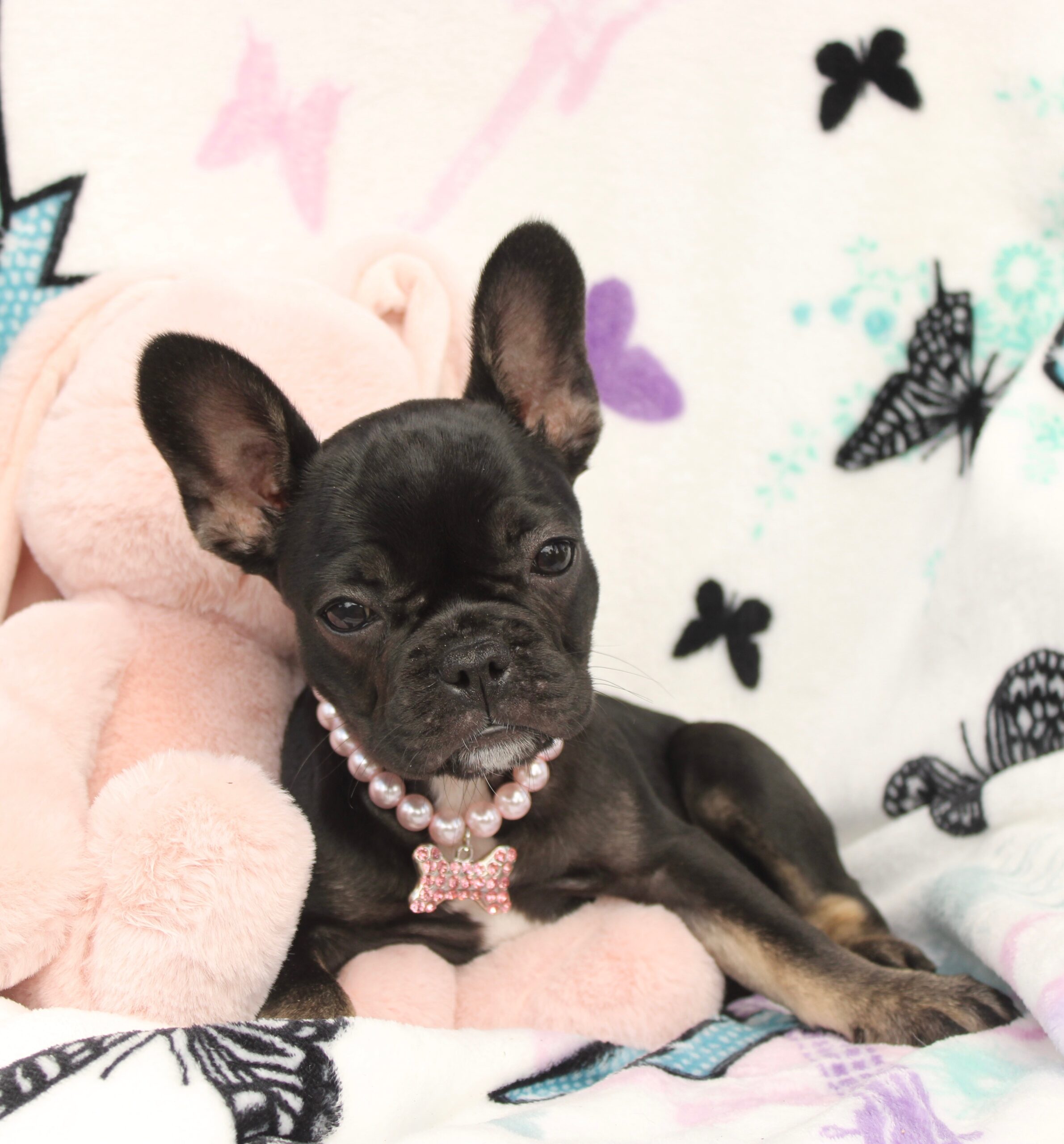 Lilly