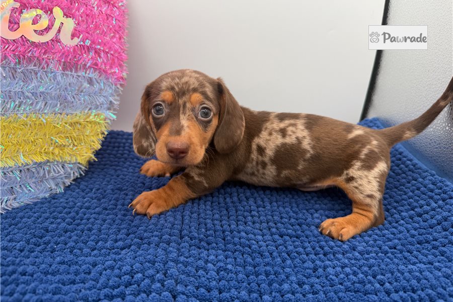 Bonnie photo 4