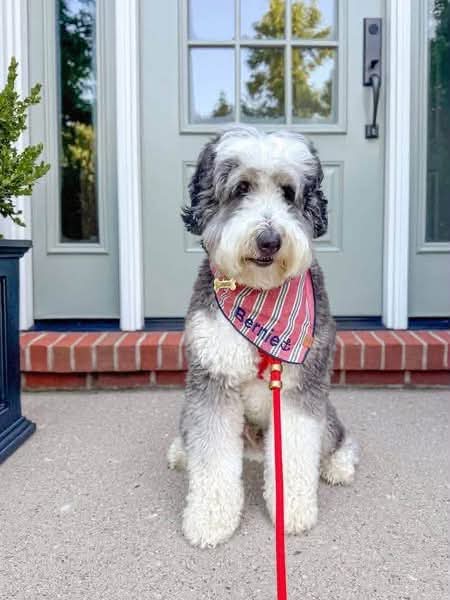 Bentley photo 3